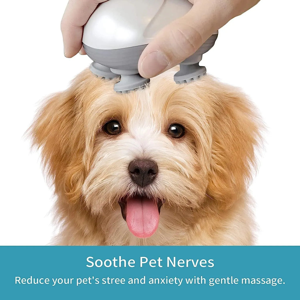 Blue handheld electric pet massager with four rotating heads, shown next to a cat.