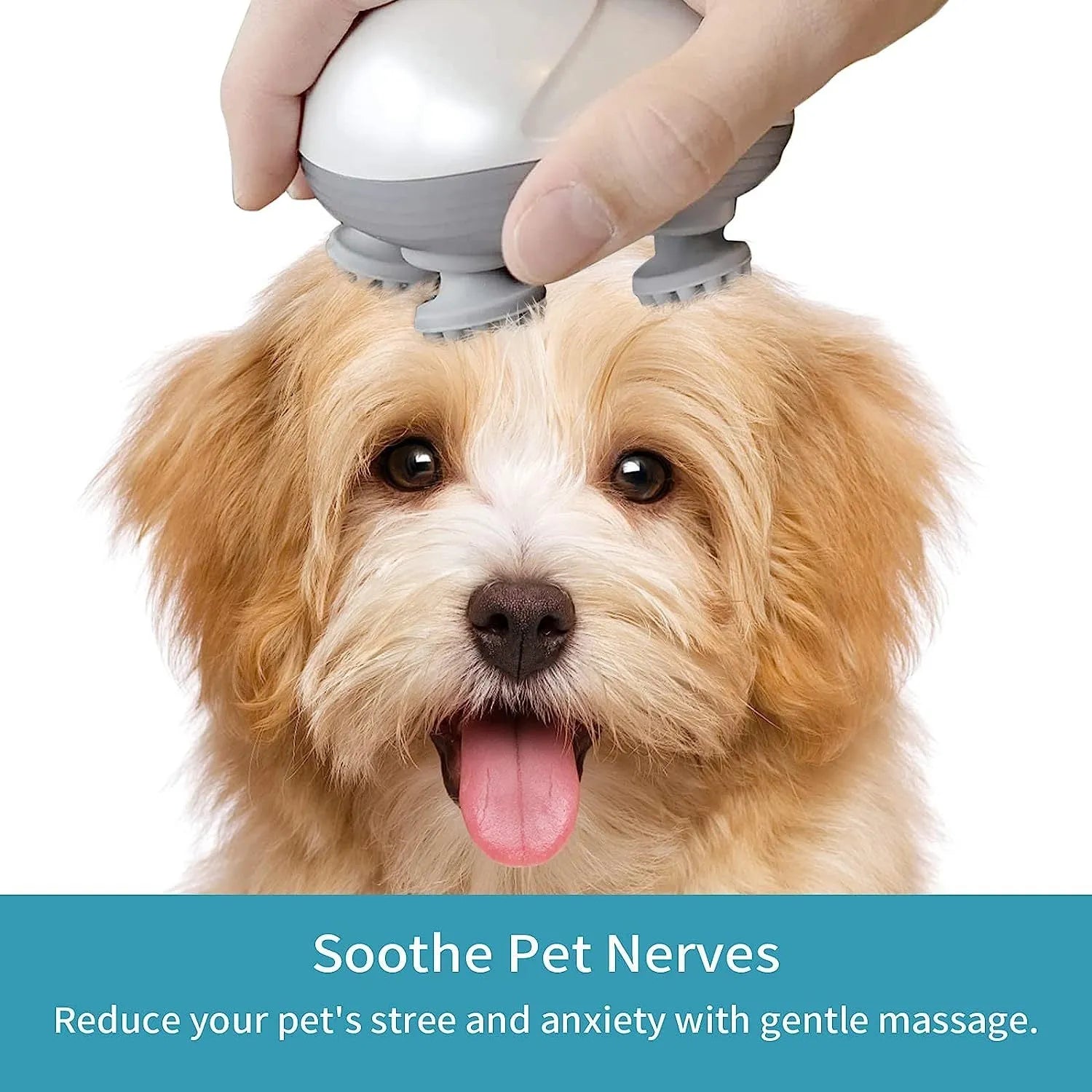 Blue handheld electric pet massager with four rotating heads, shown next to a cat.