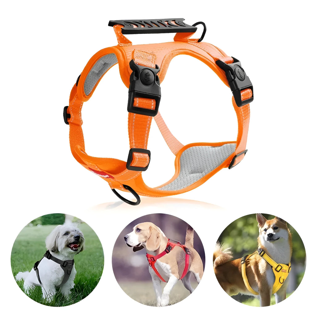 A dog harness and lead set in a choice of six colours, made from durable polyester with an adjustable chest strap.