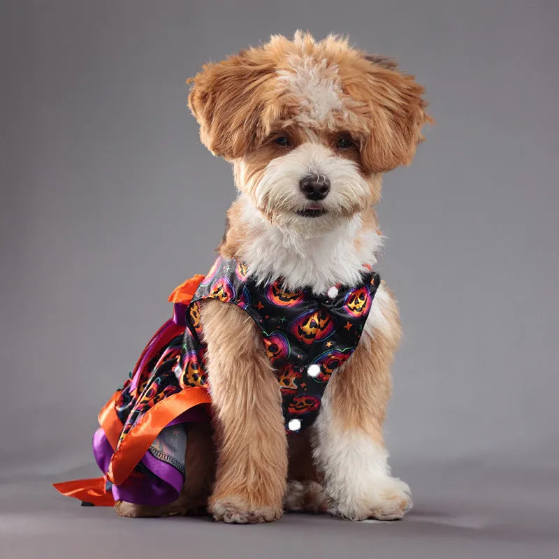 Halloween dog skirt with colourful pumpkin or skull print on white background