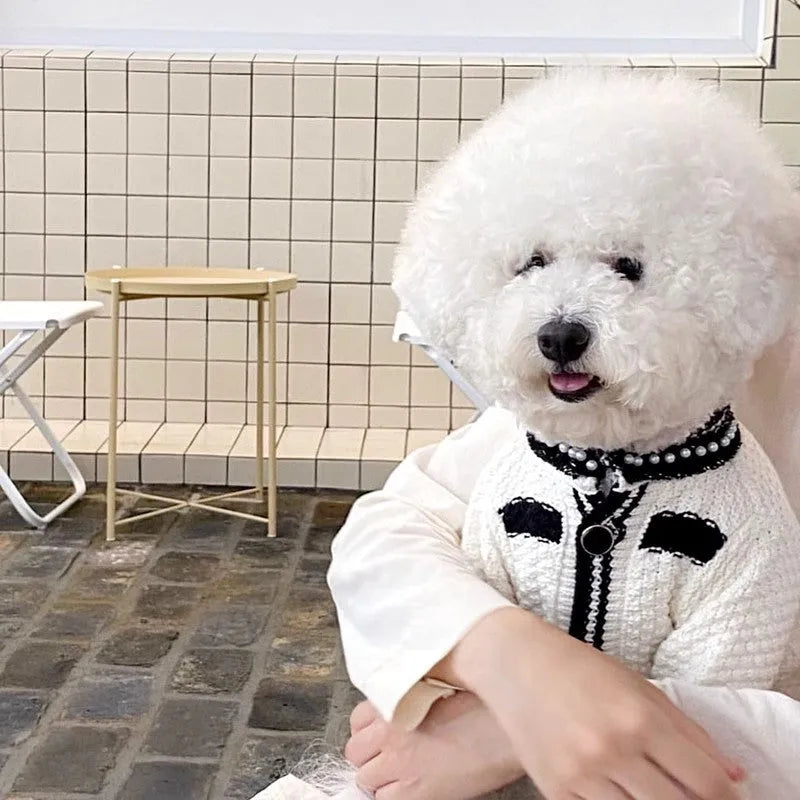 Korean princess style dog sweater with pearl collar for small dogs in black and white colours