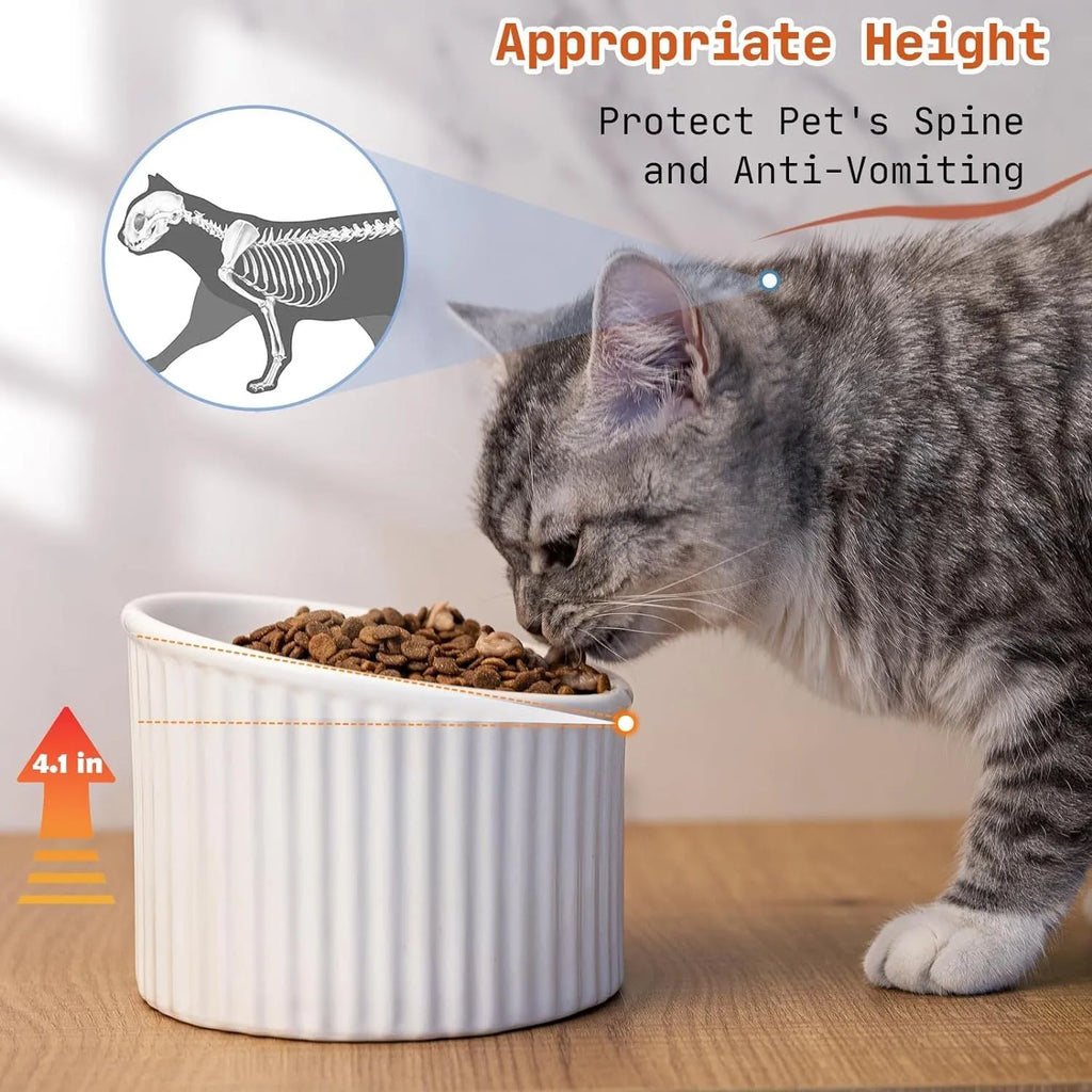 Dark green ceramic elevated cat bowl with tilted, round whisker-friendly design on a wooden floor.