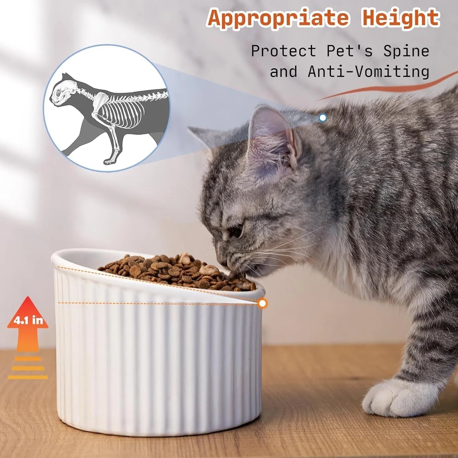 Dark green ceramic elevated cat bowl with tilted, round whisker-friendly design on a wooden floor.