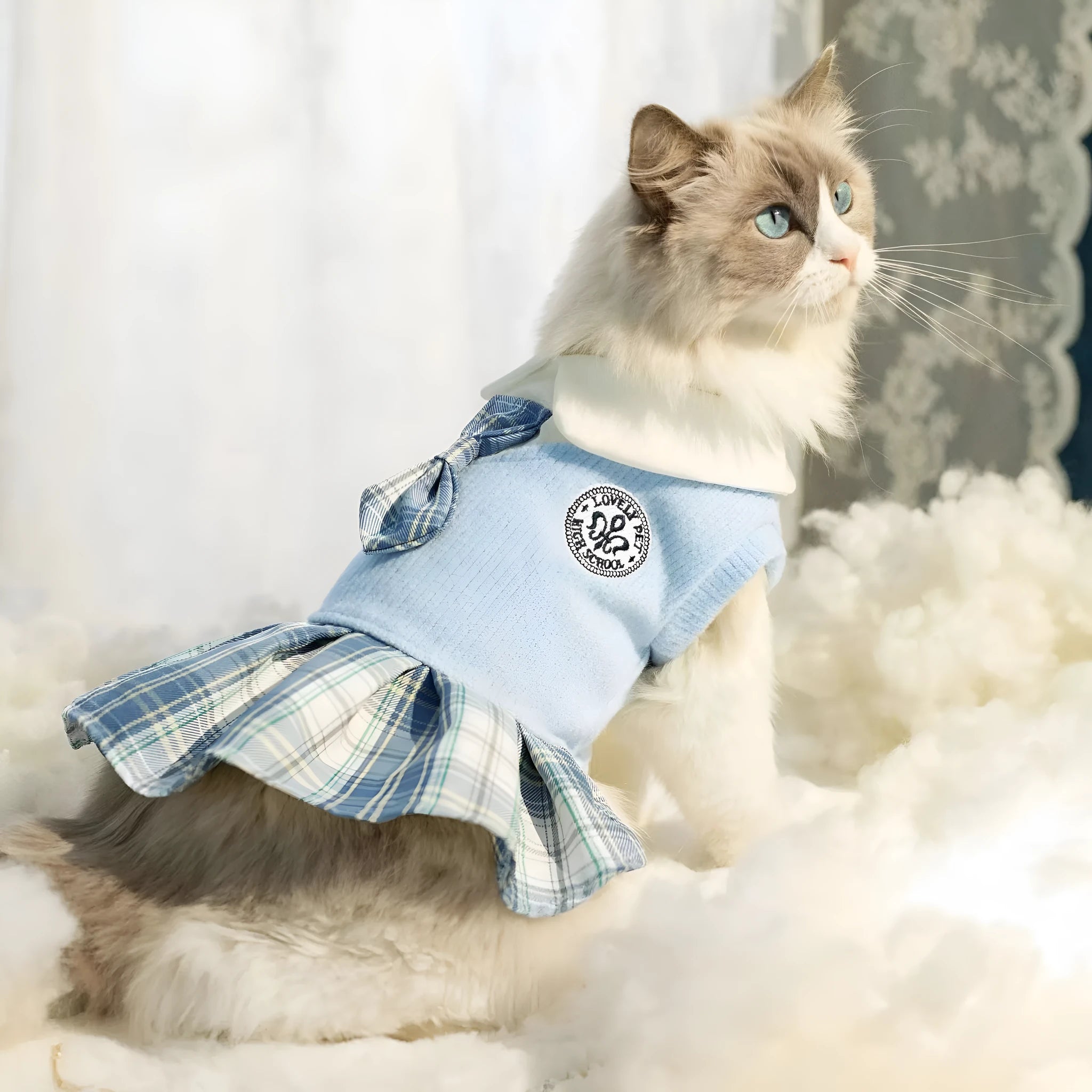 A small dog wearing a pink tartan plaid skirt in a Princess style.