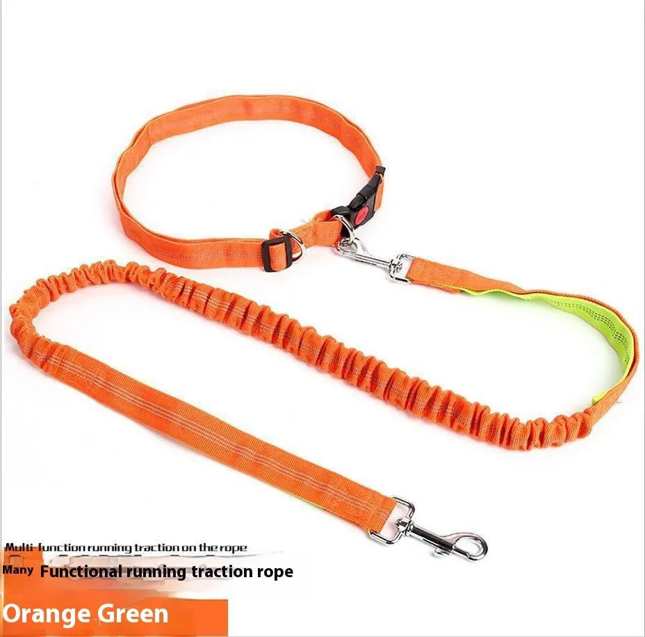 Grey and green two-tone reflective nylon dog leash showing 2.5cm width and clasp.