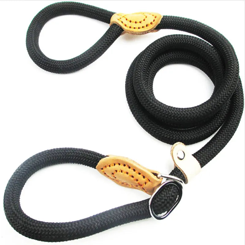 Brown nylon dog lead with P chain section and hand holding rope, 2.1 metres long