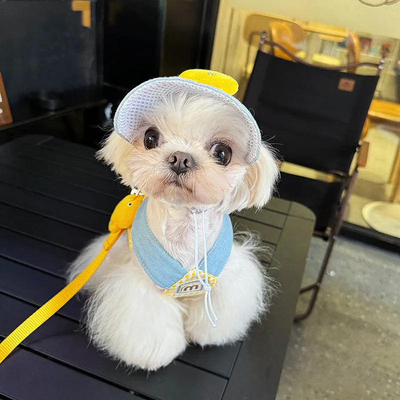 Small pet wearing a cute hat and three-piece outfit with a matching dog harness and wire rope leash set.