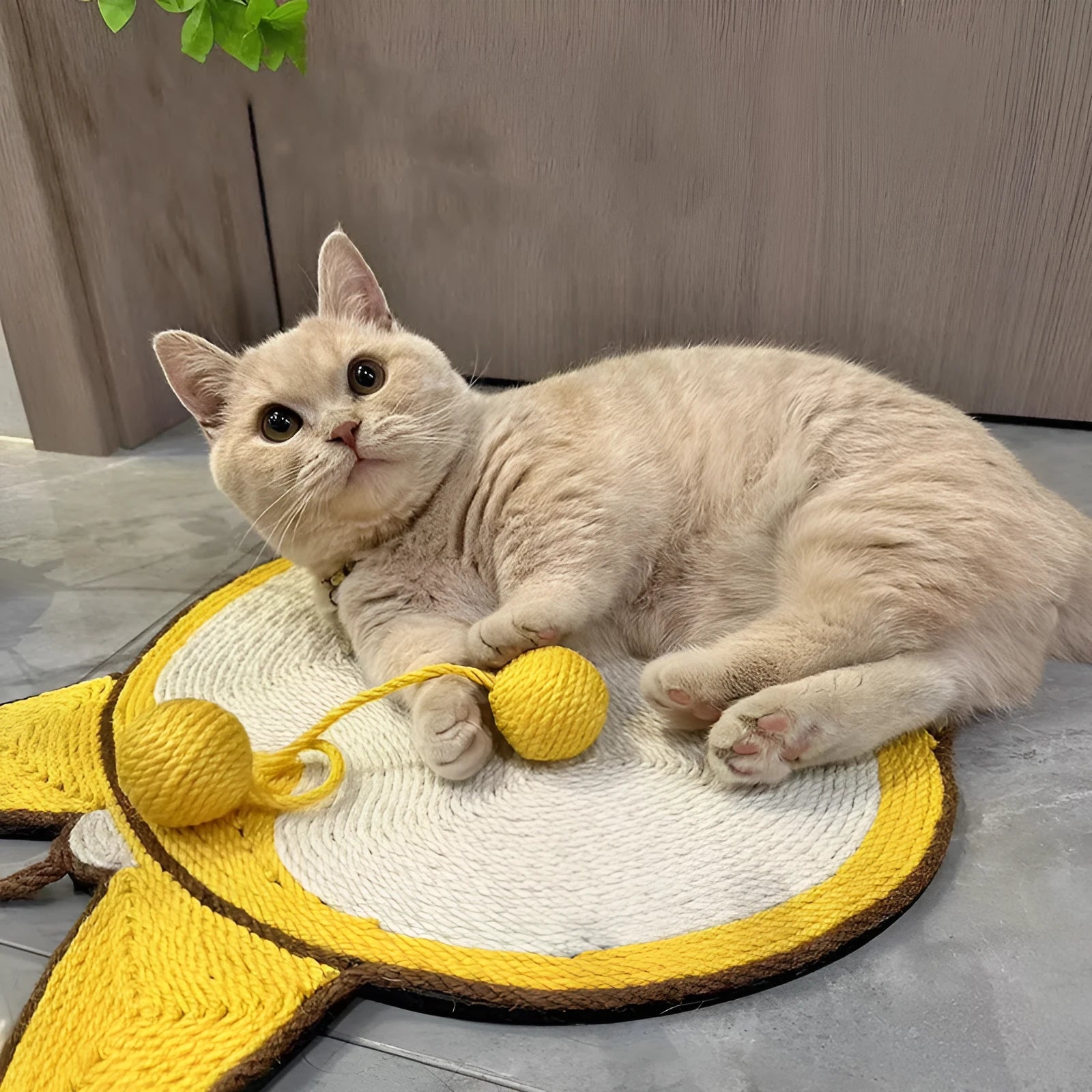 Yellow cat scratching pad with corgi butt design on natural sisal surface, 37cm by 40cm with anti-slip base