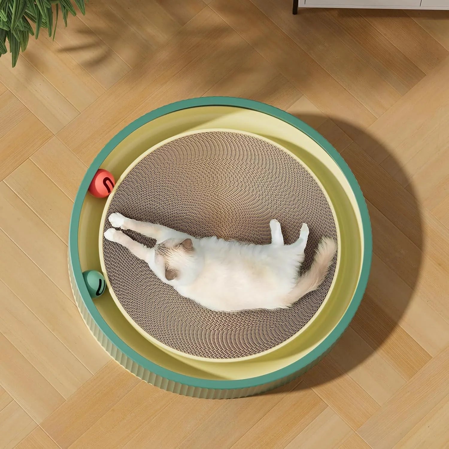Large circular cat scratching board with ball toys measuring 45cm in diameter