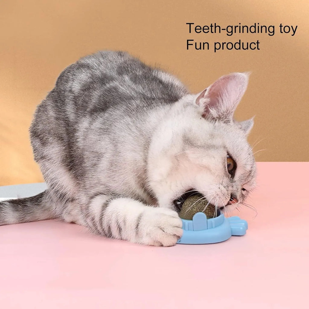 Blue carrot-shaped self-adhesive catnip toy for wall mounting and teeth cleaning