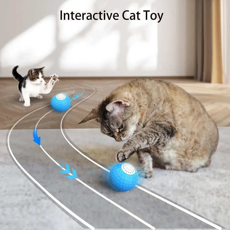 Remote control cat toy ball in blue, green or yellow colours with wireless controller