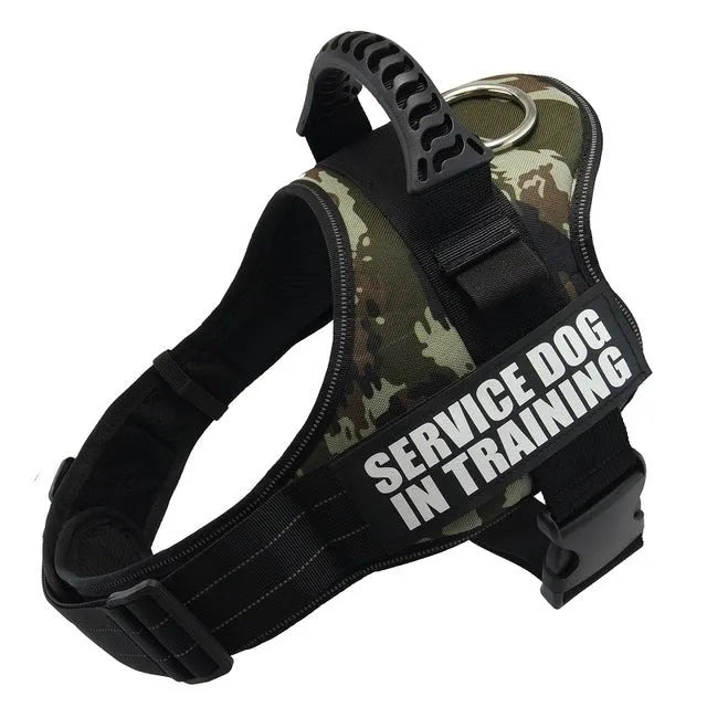 Adjustable reflective dog harness with handle and D-ring on blue background showing size chart