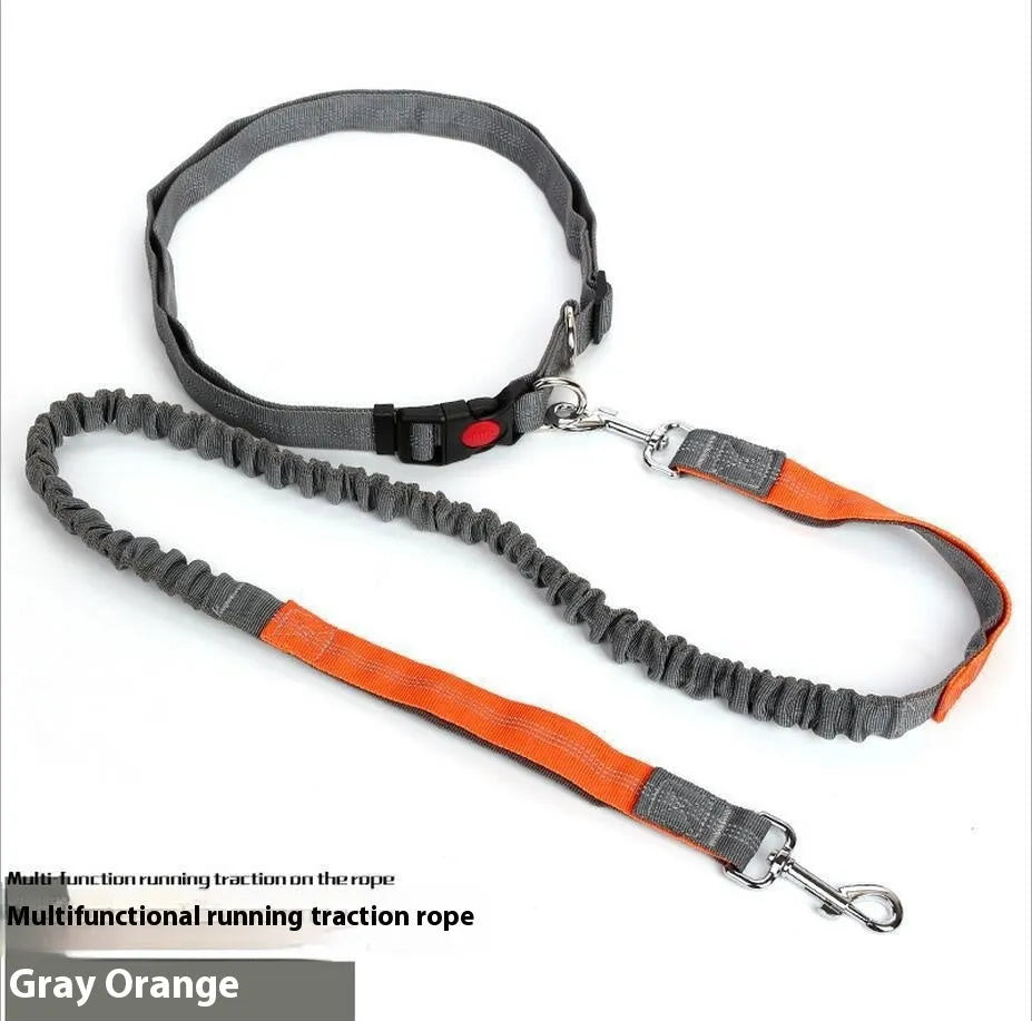 Grey and green two-tone reflective nylon dog leash showing 2.5cm width and clasp.