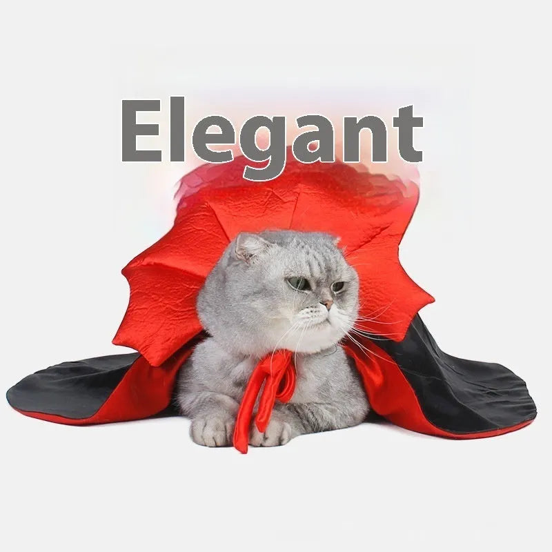 Black and red Halloween costume for cats and dogs with European and American style design