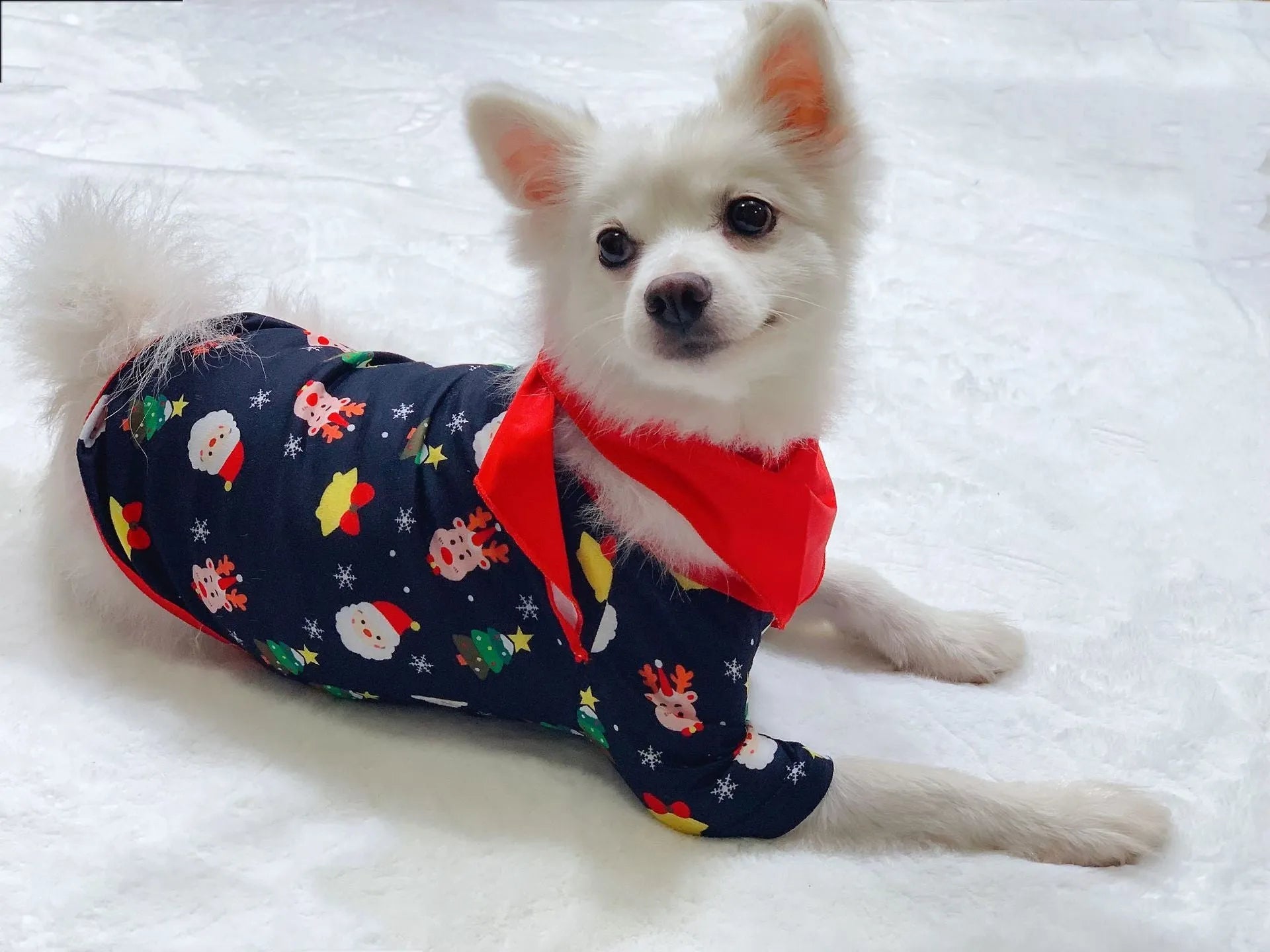Family Christmas matching pyjamas set in cotton fabric with plaid and cartoon designs