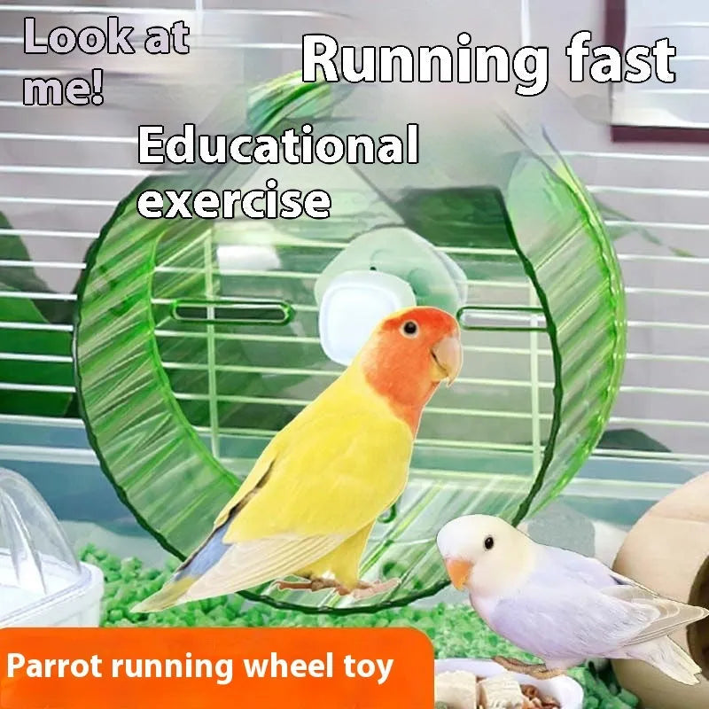 Parrot running wheel toy in plastic construction showing colour options and size comparison