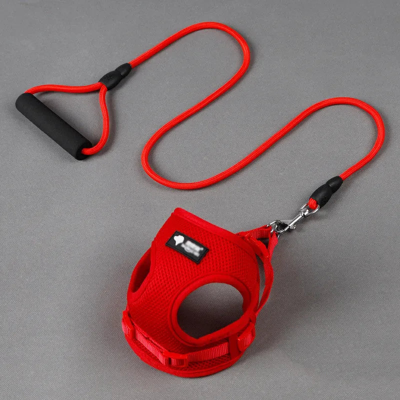Blue nylon dog leash with foam handle and adjustable collar set on a white background.