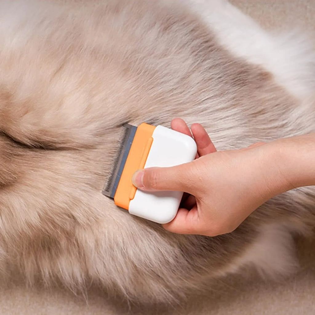 Blue double-sided pet grooming brush with stainless steel comb teeth for cats and dogs