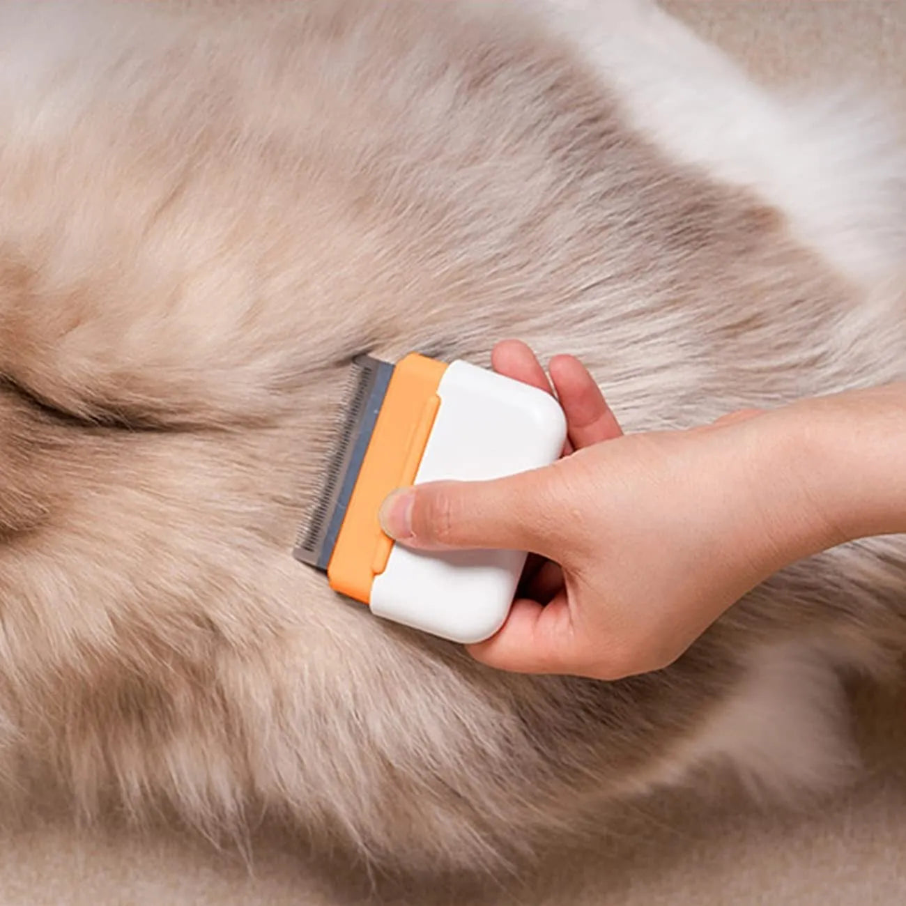 Blue double-sided pet grooming brush with stainless steel comb teeth for cats and dogs