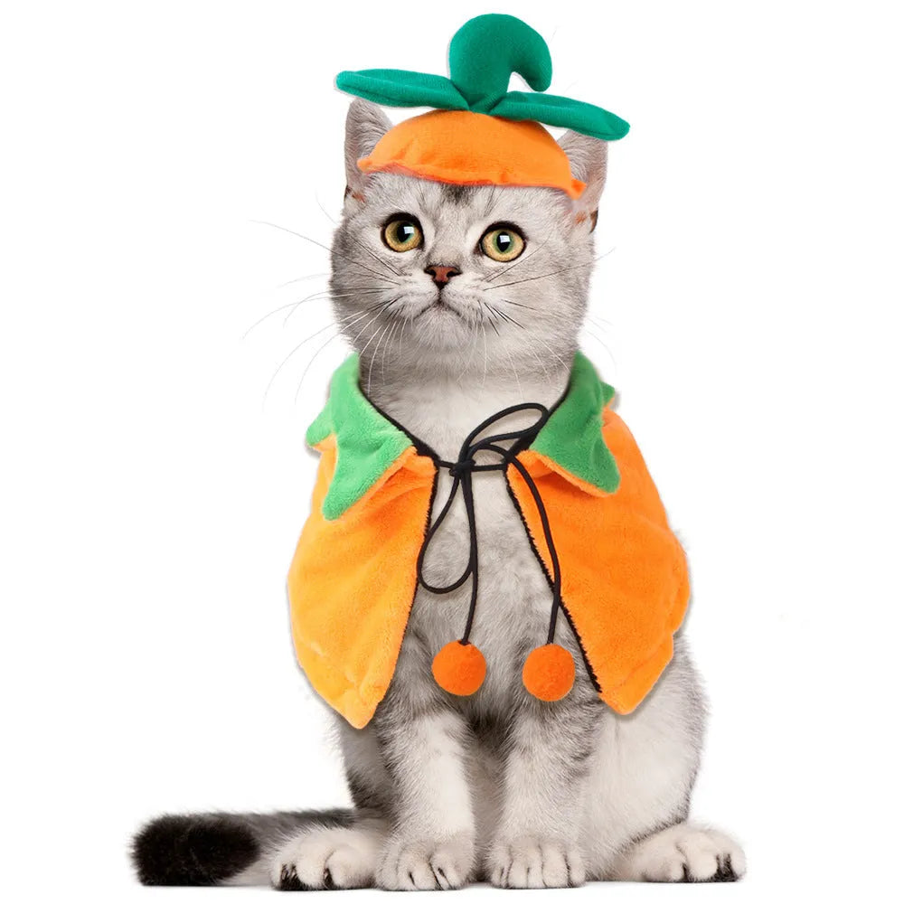 Orange plush pumpkin Halloween cloak for a dog or cat shown in size M.