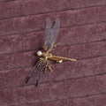 Women's dragonfly-shaped decorative headdress with side hair clip in alloy metal with colourful decorations
