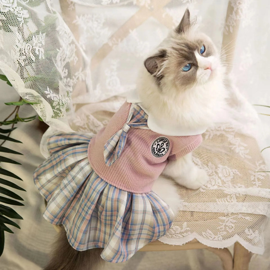 A small dog wearing a pink tartan plaid skirt in a Princess style.