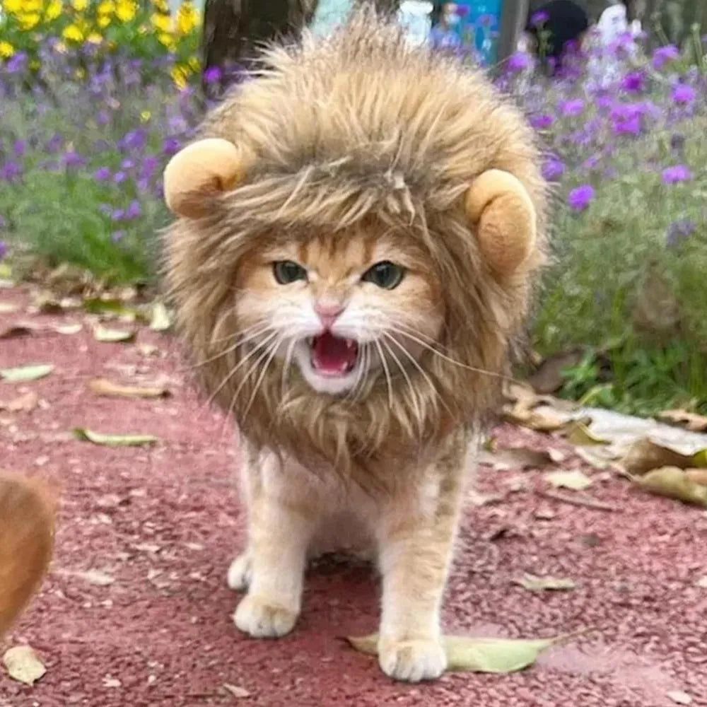 Lion mane wig for cats and small dogs made of plush artificial fur with an adjustable elastic headband.