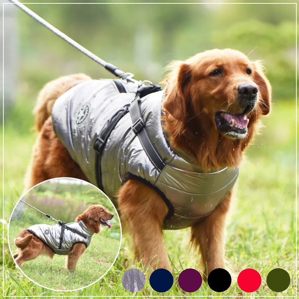Waterproof dog coat in rain silk fabric with harness hole for lead attachment