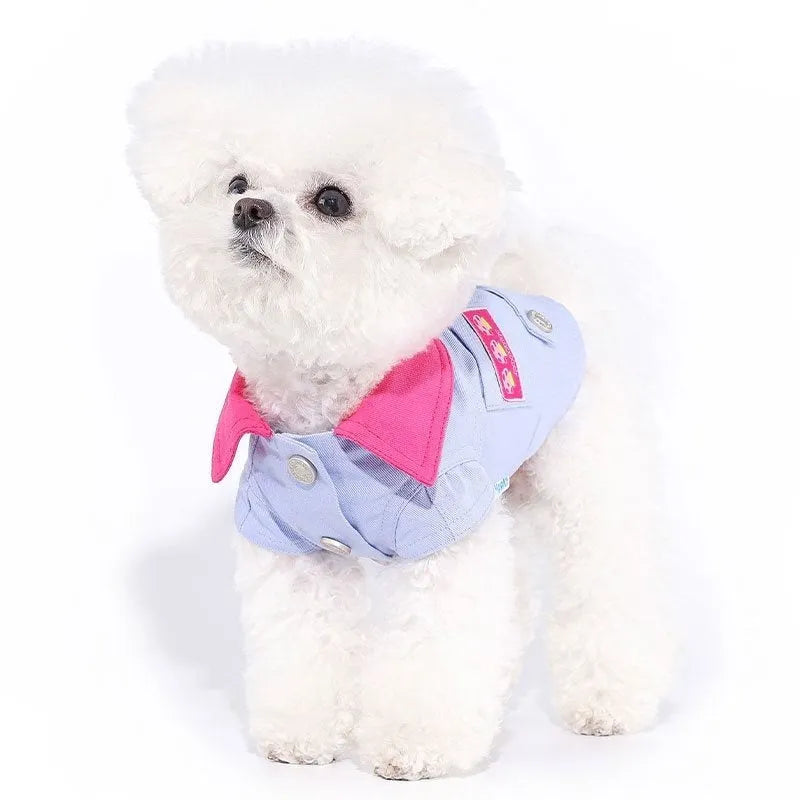 Blue and purple polyester dog vest harness with a metal lead attachment ring for small dogs.