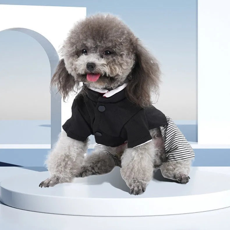 Cotton poodle clothes in four-foot pants or skirt style for small to extra-large dogs