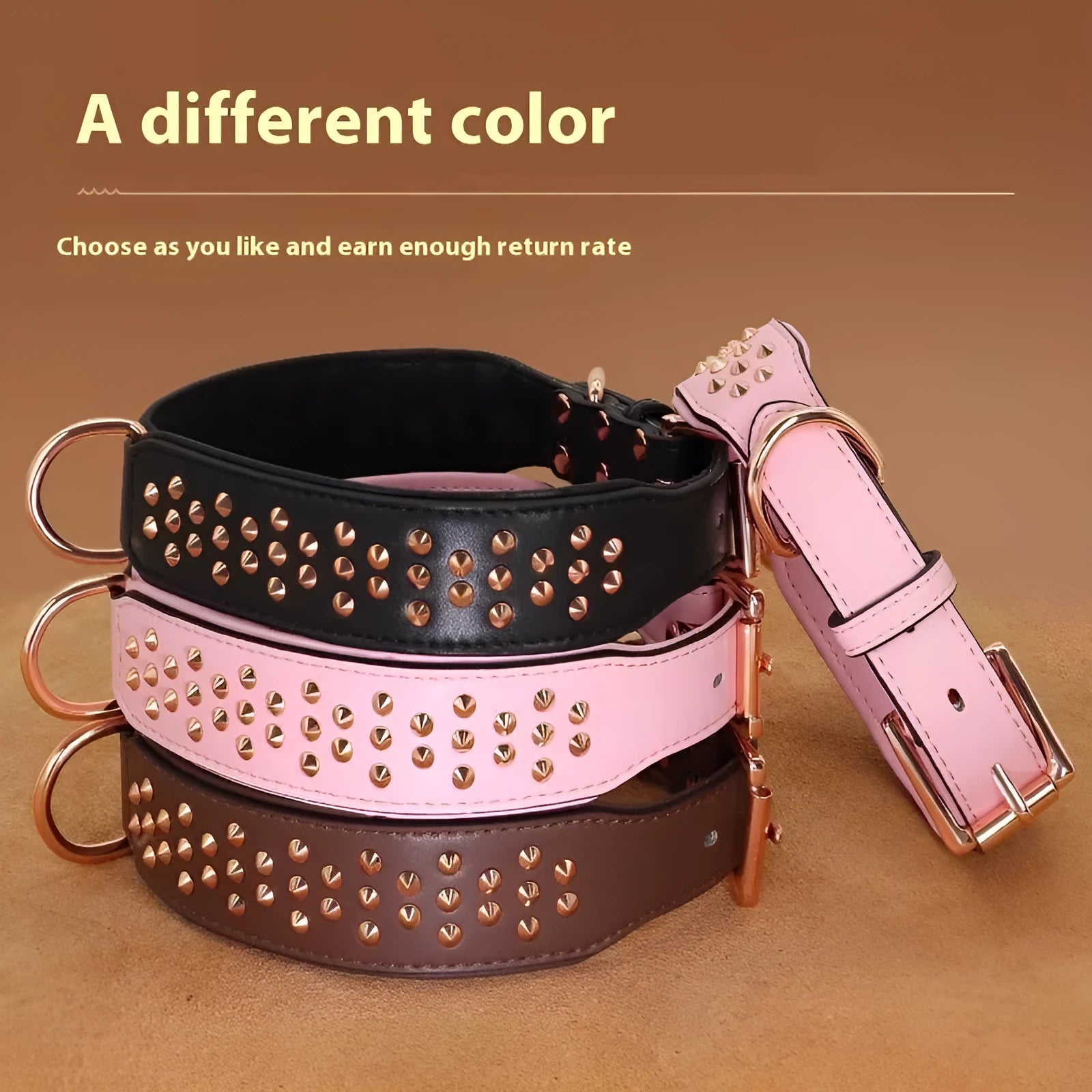 Leather dog collar with brass anti-bite rivets in black, shown with metal buckle.