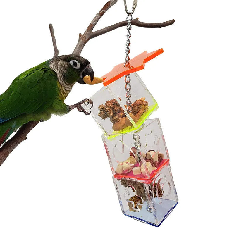 Clear acrylic parrot foraging toy for holding nuts and fruit, measuring 5x5x32 cm