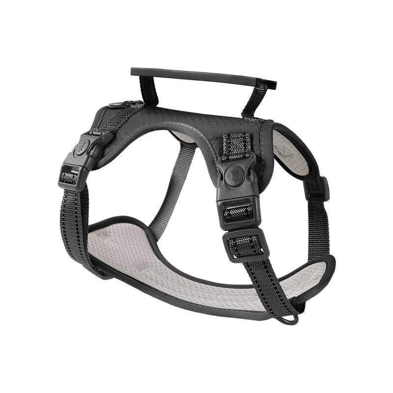 A dog harness and lead set in a choice of six colours, made from durable polyester with an adjustable chest strap.