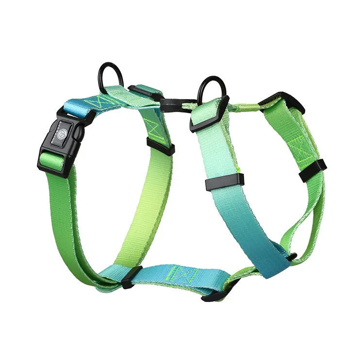 A gradient colour polyester dog harness shown in one of four colour options: purple, blue sea, neon, or green.