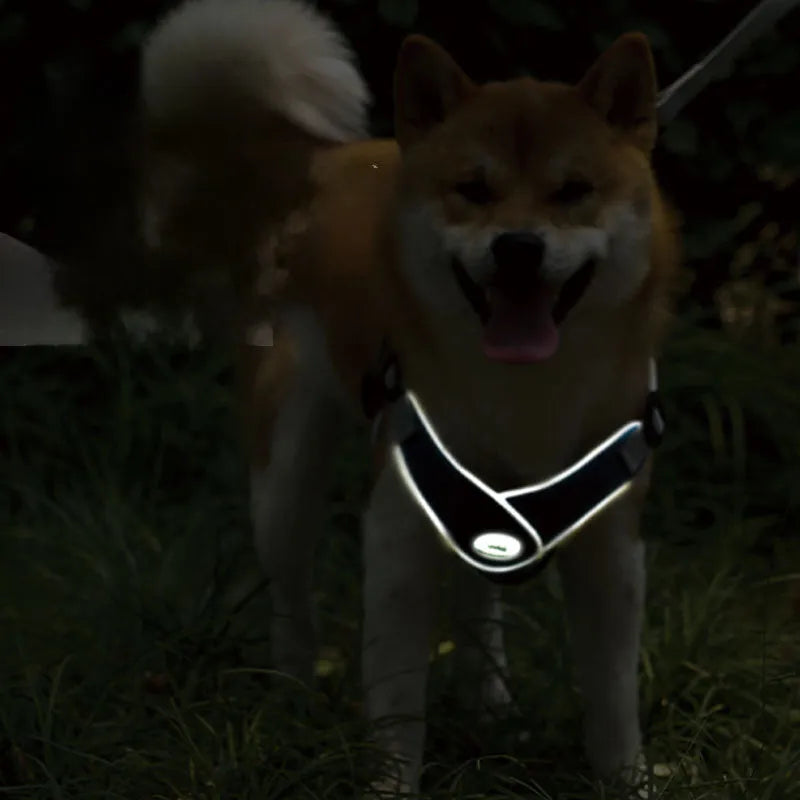 Green adjustable mesh dog harness with reflective strips and a metal leash ring, shown on a dog.