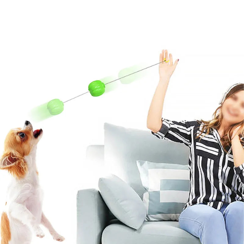 Plastic pumpkin-shaped dog ball with squeaker in green, orange and yellow for small dogs
