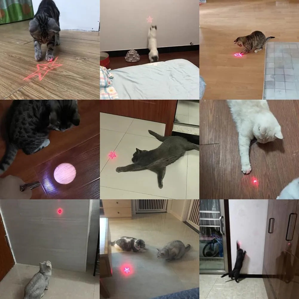USB rechargeable cat infrared teaser toy with keychain clip in black or pink colours