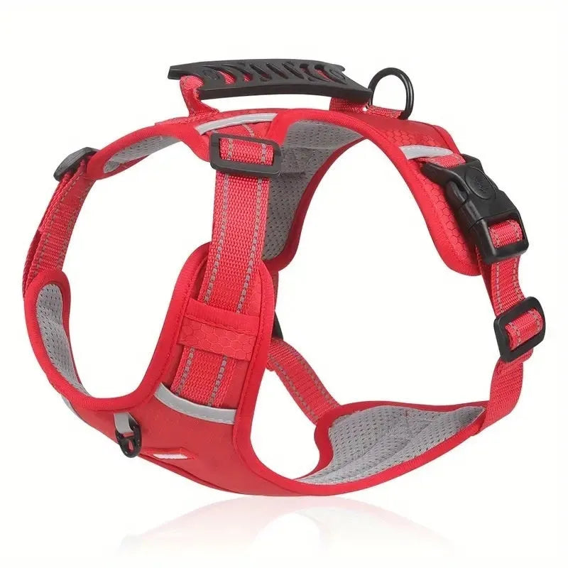 A dog harness and lead set in a choice of six colours, made from durable polyester with an adjustable chest strap.