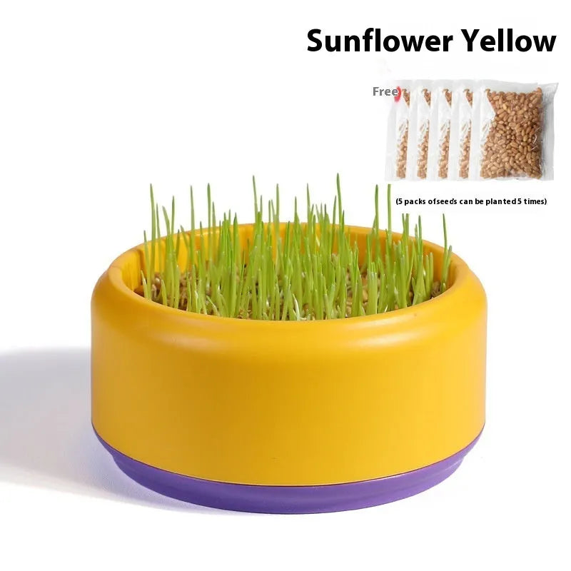 Hydroponic cat grass kit with plastic cup and five seed packets on a table