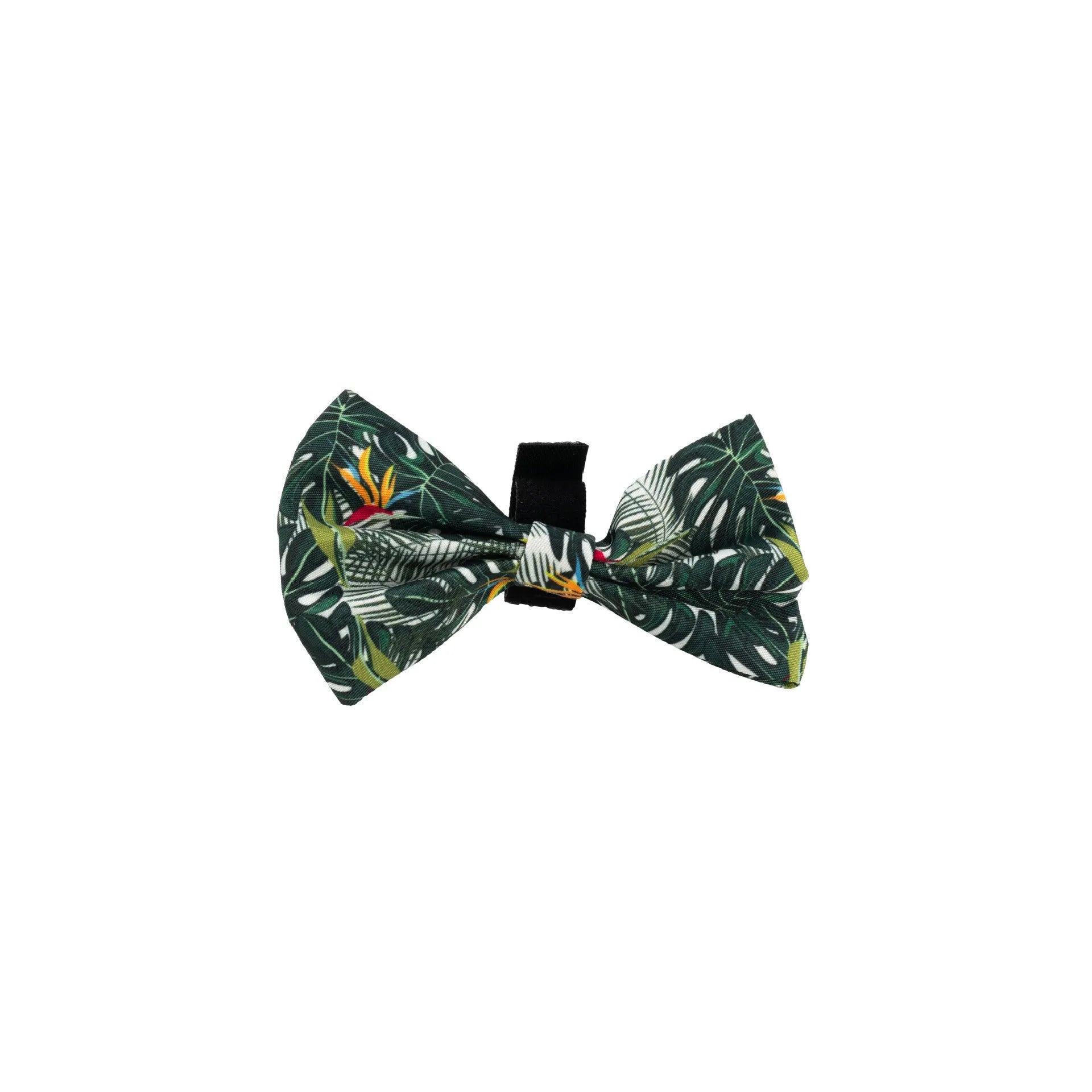Six-piece adjustable pet harness set with haulage rope, collar, waste bag, bow tie, and triangular scarf accessories