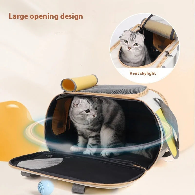Portable foldable pet carrier bag in canvas material with single shoulder strap