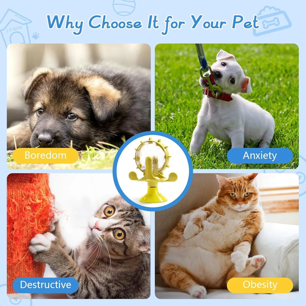 Interactive pet puzzle slow feeder toy with suction cup base in blue, green, red, or yellow colour.