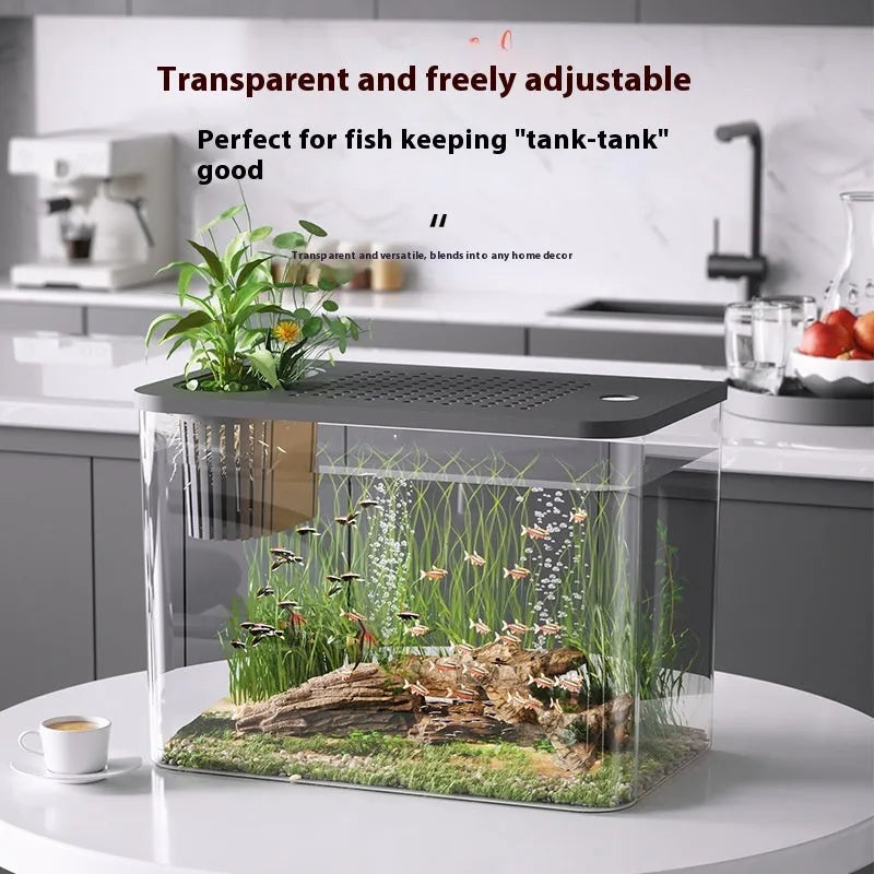 Ecological betta fish tank with transparent cover in black or white plastic construction