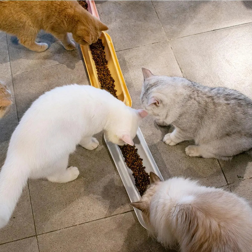 Green leakproof dual pet bowl feeder with non-slip base for dogs and cats.