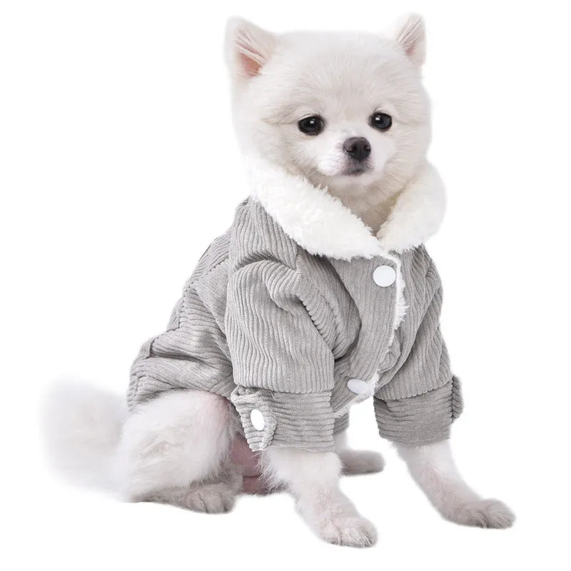 Grey lambswool dog vest with fleece lining for winter warmth on a small dog.