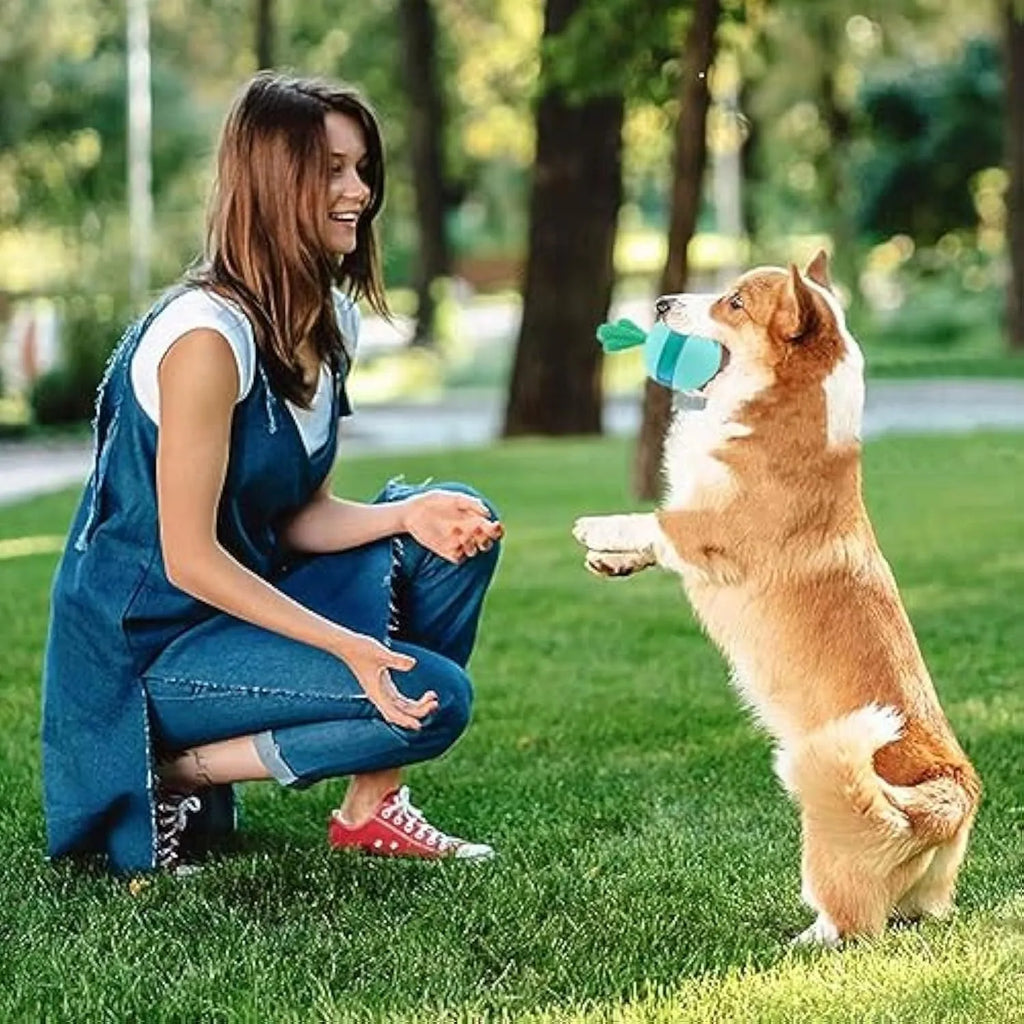 Blue and green durable rubber dog puzzle ball with treat dispensing holes