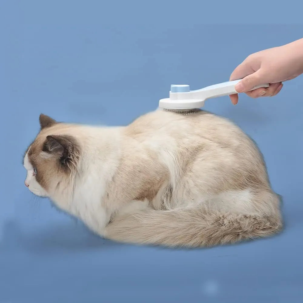 Self-cleaning cat brush with blue rubber handle and metal pins with rubber tips for pet grooming