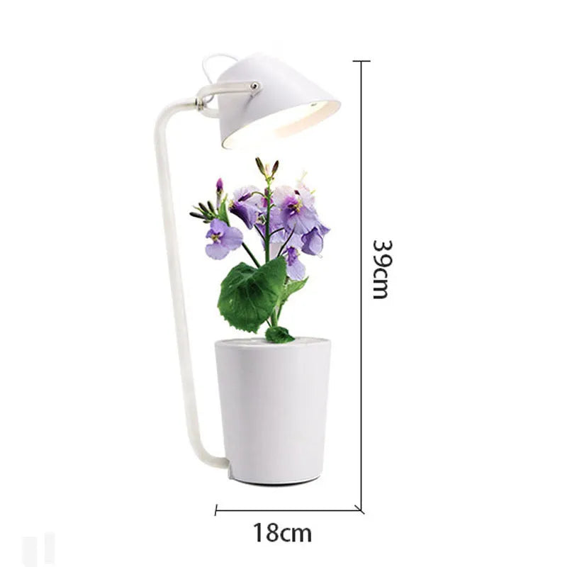 White plastic desktop hydroponic container for soilless plant cultivation with multiple plug standards