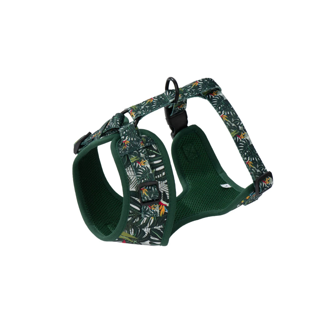 Six-piece adjustable pet harness set with haulage rope, collar, waste bag, bow tie, and triangular scarf accessories