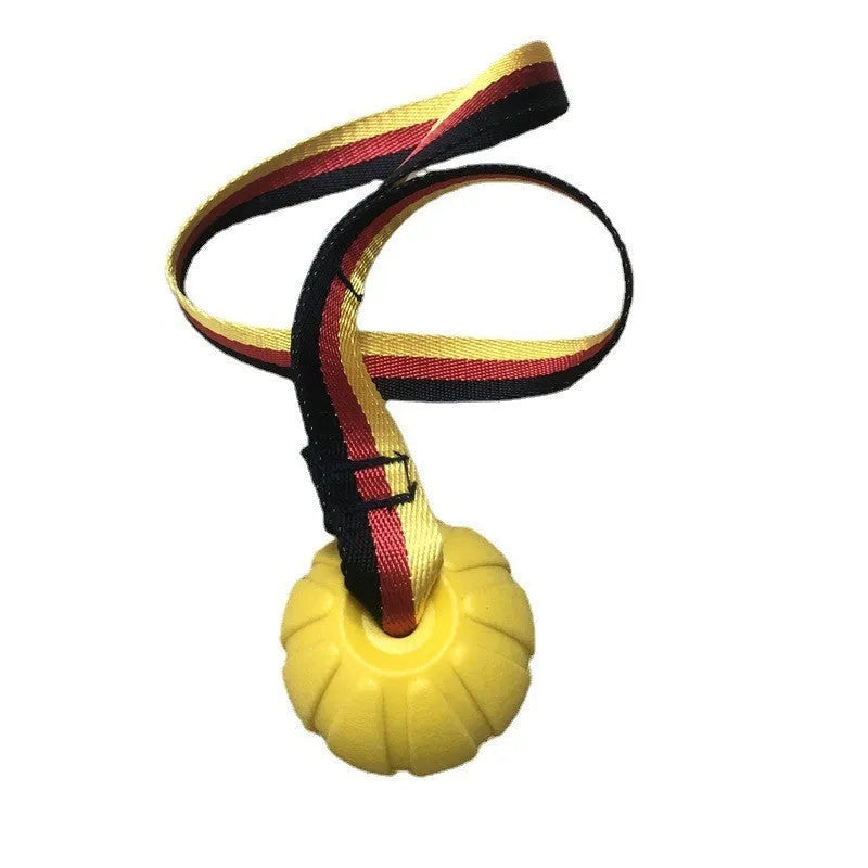 EVA floating dog training ball in camouflage colour with tetherball design for water retrieval